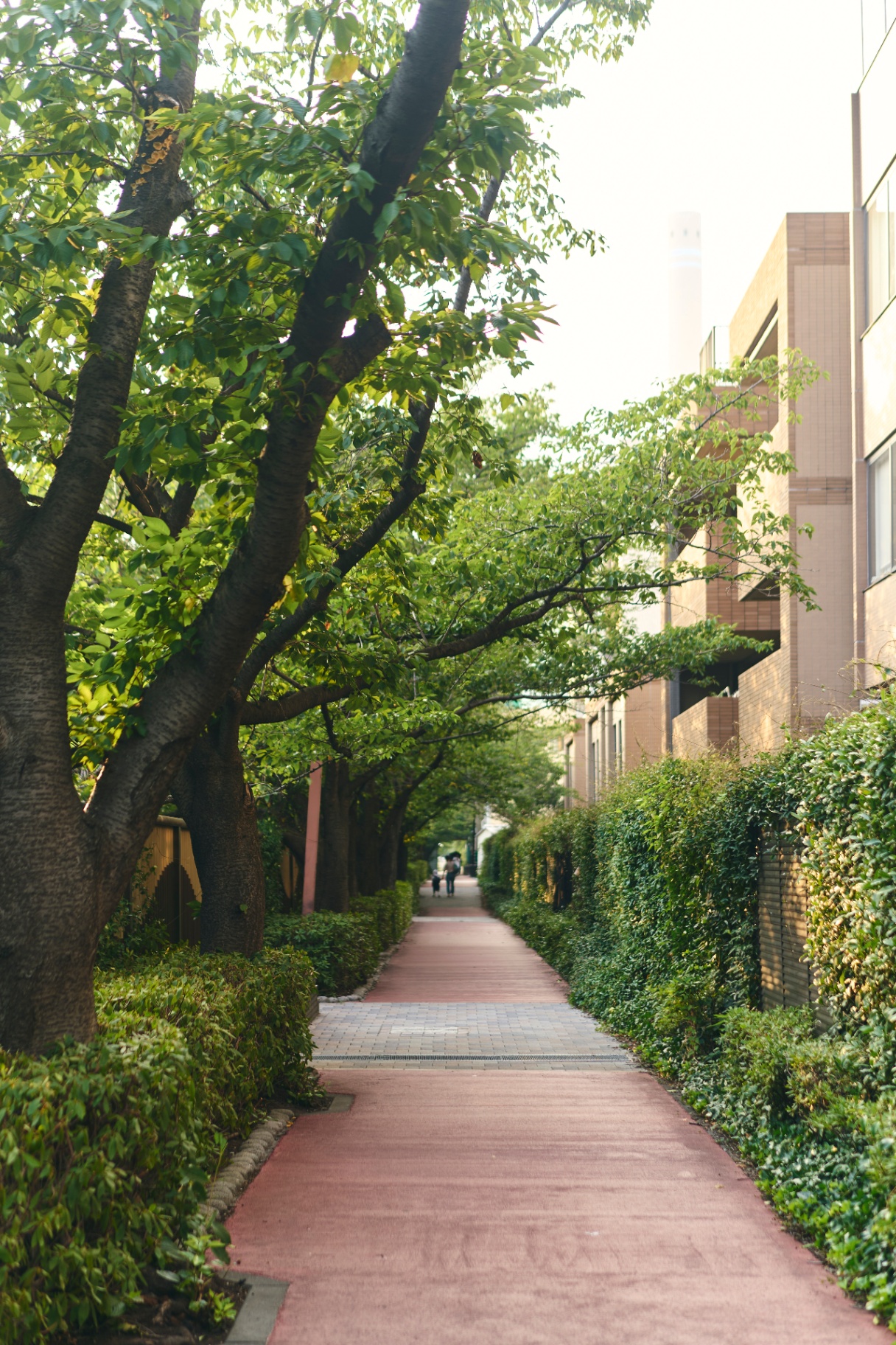 「まち」に開かれた医療施設