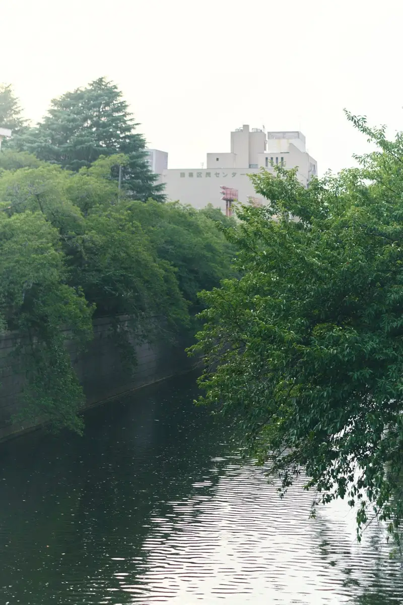 川沿いの景色